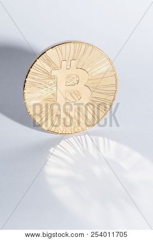 Bitcoin Krypto Currency Golden Coin Symbolic Money With Bitcoin Sign