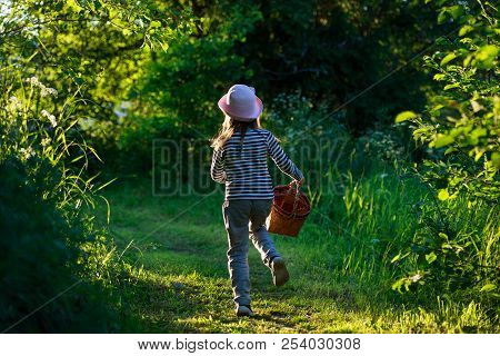 Young Girl Walking On A Path Through Green Woods Carrying A Birchbark Basket