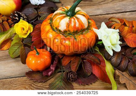 Thanksgiving Orange Pumpkin, Yellow Roses