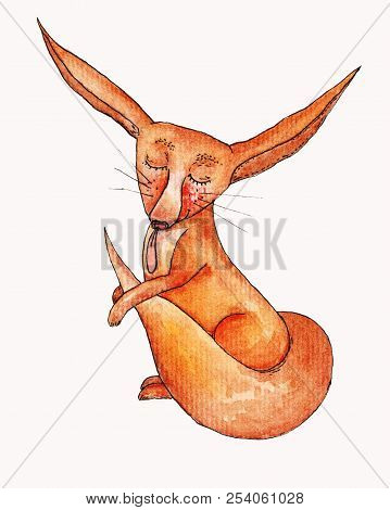 Funny Cartoon Fox Isolated On White Background. Cute, Funny Animal, Fox Character Licked His Tail Us