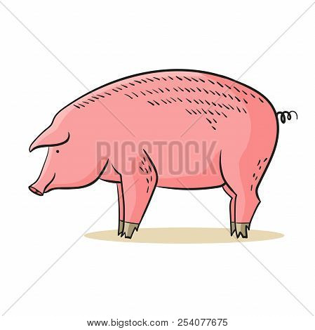 Pig Vector Isolatad On White Background. Cartoon Piggu Illustration Simbol 2019 New Year Or Christma