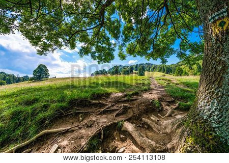 Mountain Path In Pieniny Leading To The Summit Of Wysoka, Poland