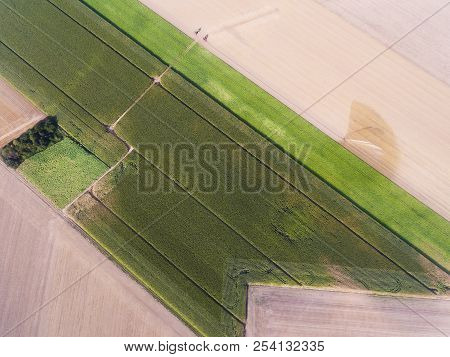 Shapes In The Field, Richarville, Essonne, France