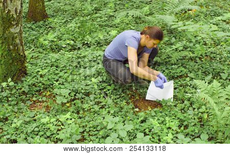 Woman Ecologist Taking Samples Of A Soil