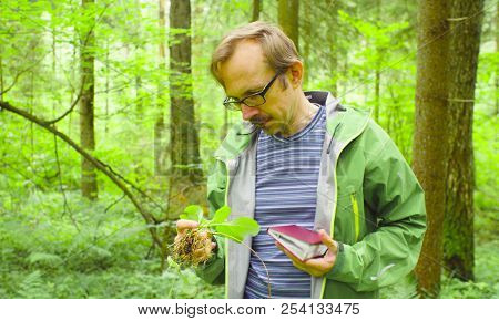 The Ecologist In A Forest Examining Plant