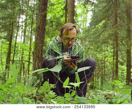 The Ecologist In A Forest With Smart Phone
