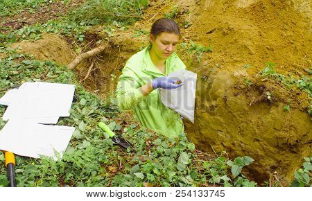 Woman Ecologist Taking Samples Of A Soil