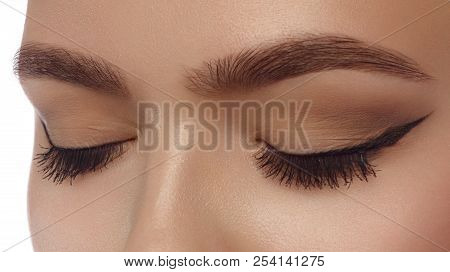 Beautiful Macro Shot Of Female Eye With Classic Smoky Makeup. Perfect Shape Of Eyebrows, Brown Eyesh