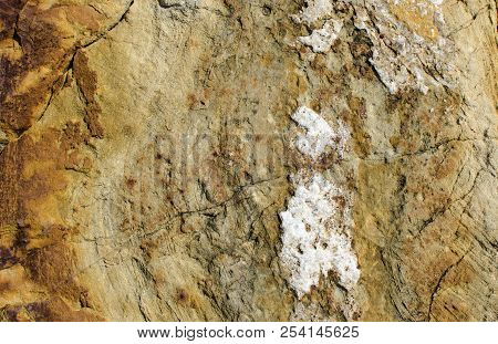 Concentric-zonal Texture Of Yellow, Ferruginous Sandstone With White Calcite.