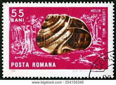 Romania - Circa 1966: A Stamp Printed In Romania Shows Helix Lucorum, Is A Species Of Large, Edible 