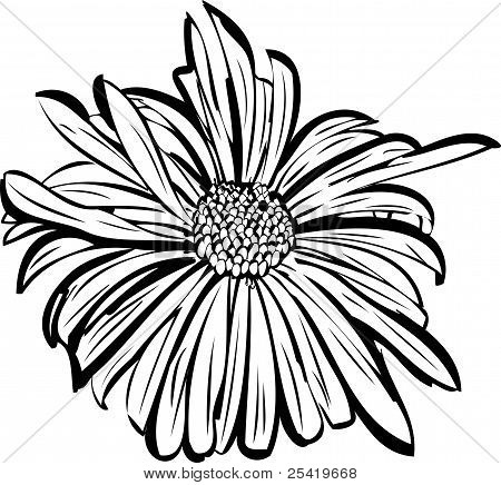 Flower garden ligner en daisy