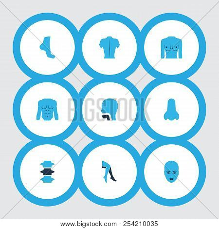 Part Icons Colored Set With Nose, Chest, Face And Other Foot Elements. Isolated  Illustration Part I