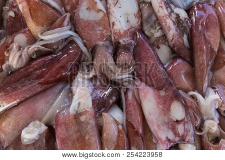 Red Cuttlefish Also Called Sepia Or Squid At A Street Organic Market.