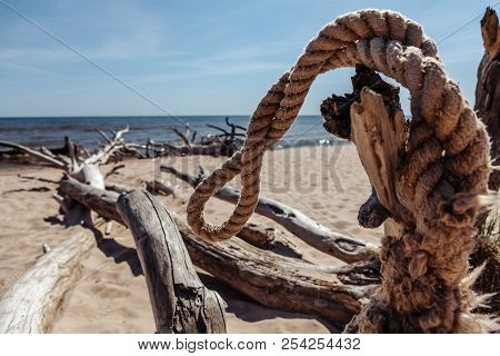Scrap Of Wire And Dead Trees On The Kolka Cape Beach.