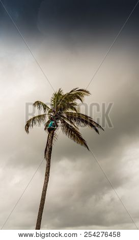 A Typical View In The San Blas Islands