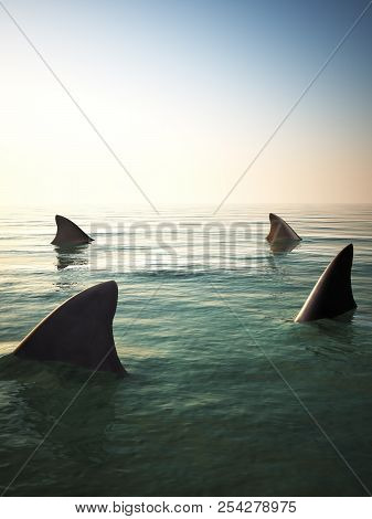 Shark Fins Circling Above The Ocean Water. 3d Rendering