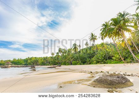 Paradise Idyllic Sea Beach With Coconut Palm Tree