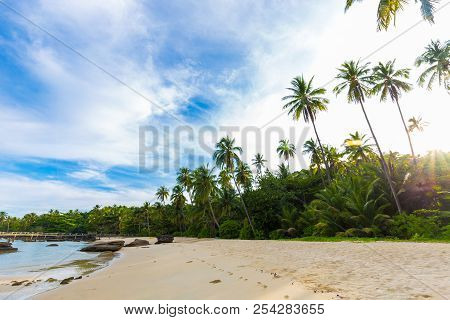 Paradise Idyllic Sea Beach With Coconut Palm Tree