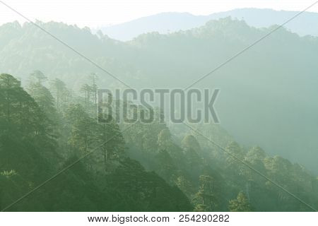 Layer Of Green Forest And Mountain Range In The Mist. View From Dochula Pass On The Road From Thimph