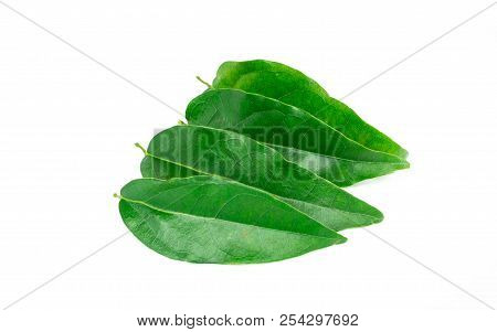 Bai-ya-nang (thai Name) (tiliacora Triandra) Isolated On White Background
