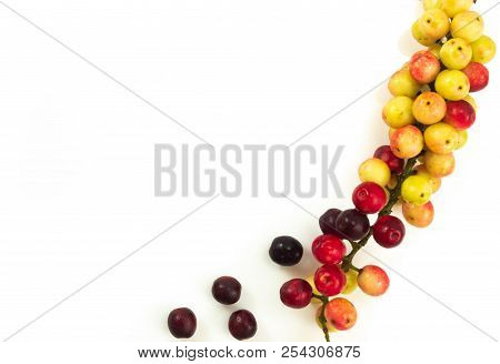 Close Up Thai Blueberry Isolated On White Background