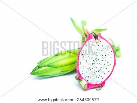 Raw Dragon Fuit,dragon Fuit Fresh With Drop Water Isolated On White Background