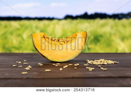 One Slice Of Fresh Melon Cantaloupe Variety With Seeds Around With Green Wheat Field In Background