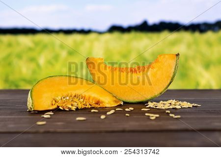 Group Of Two Slices Of Fresh Melon Cantaloupe Variety With Seeds Around With Green Wheat Field In Ba