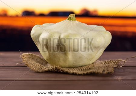 One Whole Summer White Pattypan Squash On Linen Cloth With Autumn Field In Background