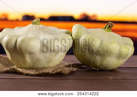 Group Of Two Whole Summer White Pattypan Squash On Linen Cloth With Autumn Field In Background