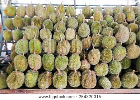 Durian Displayed And Sold In Malaysa Stall Including Musang King