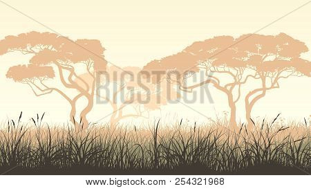 Vector Pastel Horizontal Illustration With African Landscape, Meadow Grass And Acacia.