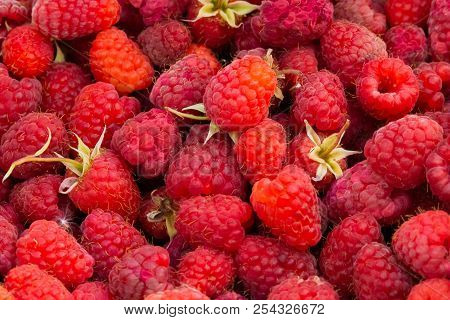 Fresh Raspberries Background Closeup Photo. Natural Food Background