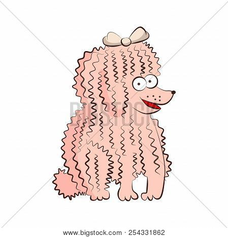 Poodle Vector Breed Dog Illustration. Cartoon Funny Pet Character Sittind On Floor