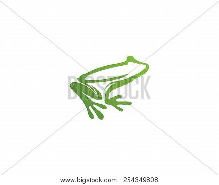 Frog Animals Template Vector Icons App Logo