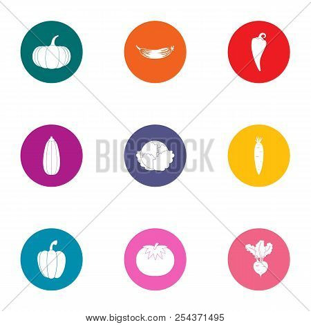 Dill Icons Set. Flat Set Of 9 Dill Vector Icons For Web Isolated On White Background