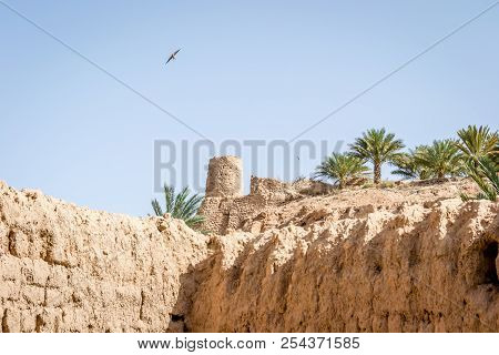 Desert Of Figuig