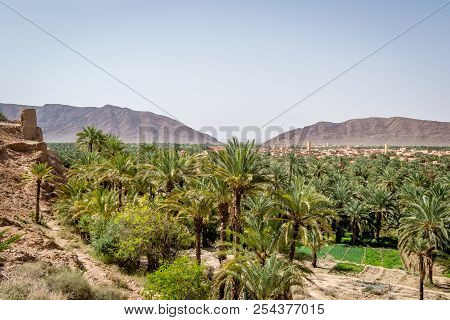 Desert Of Figuig