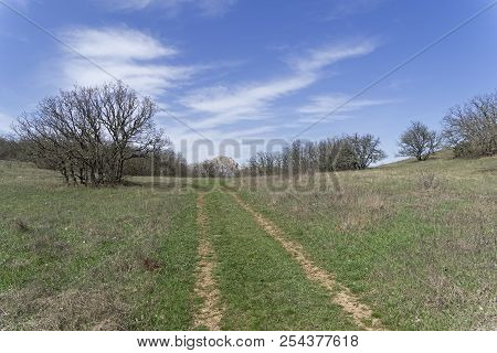 A Dirt Road In The Mountains. The Tokluk-syrt Range, Crimea. Spring, Early April.