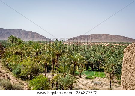 Desert Of Figuig