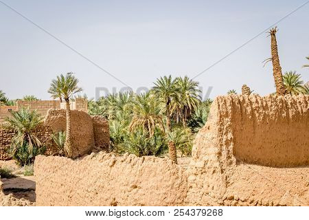 Desert Of Figuig