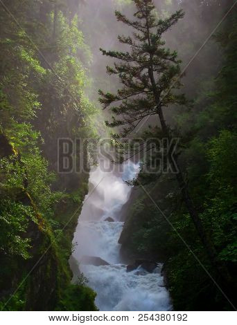 Solomon Gulch Waterfall And Leaning Tree
