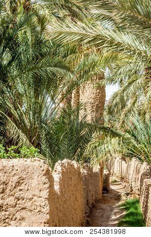 Desert Of Figuig