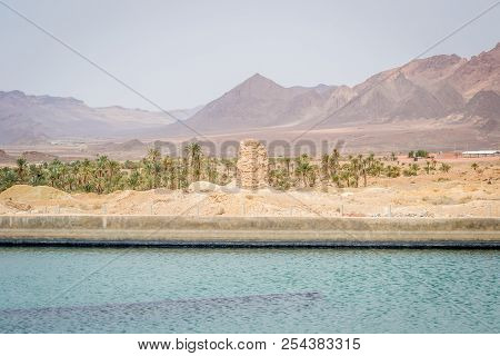 Desert Of Figuig
