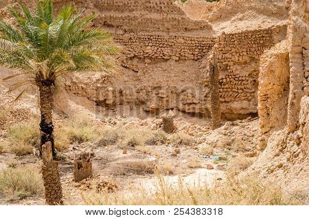 Desert Of Figuig