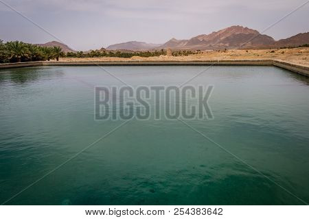 Desert Of Figuig