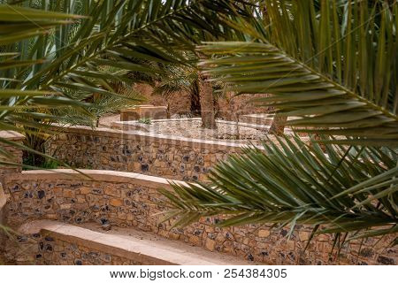Desert Of Figuig