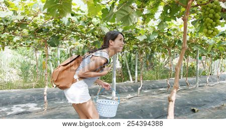 Woman visit green farm