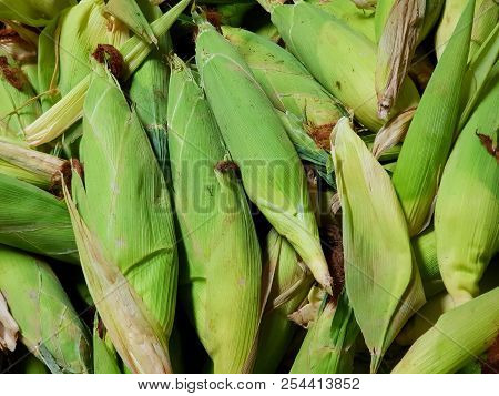 Top View Of Group Corn As A Background (zea Mays), On Market In Thailand