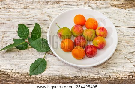 Red Cherry Plums On A White Saucer And Small Twig Of Cherry-plum Tree On An Old Rustic Wooden Surfac